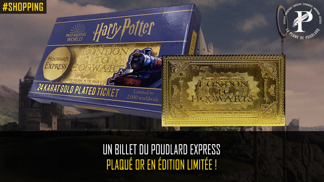 Ticket Poudlard Express Harry Potter Edition Limité