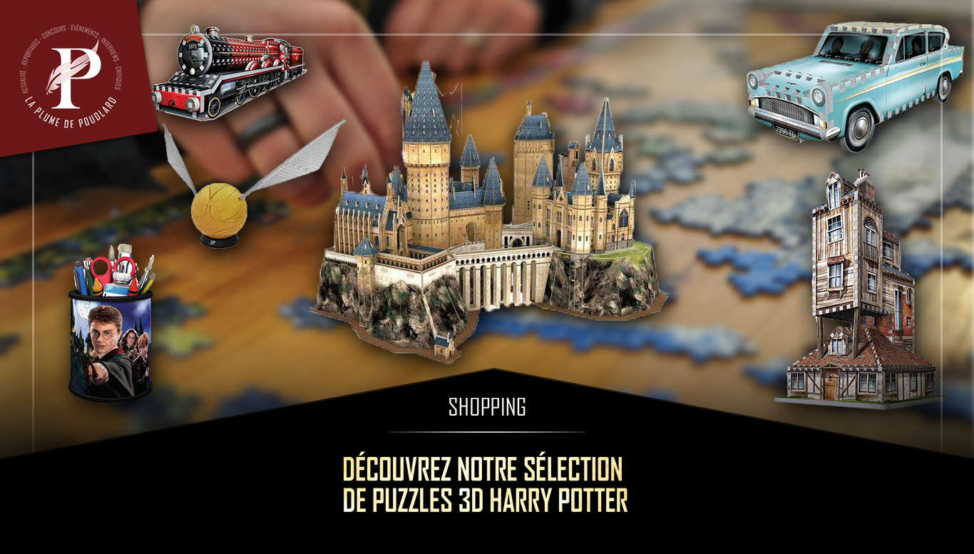 Découvrez notre sélection de puzzles 3D Harry Potter La Plume de
