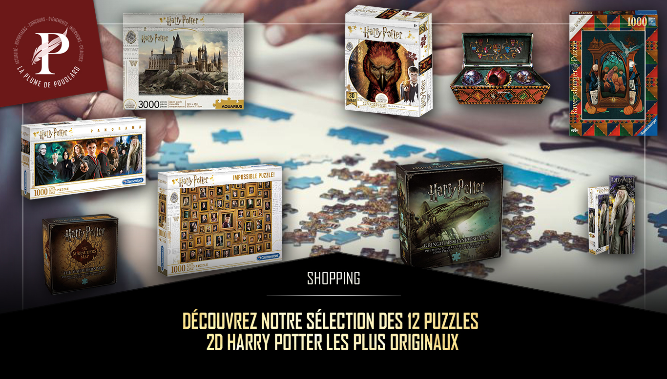 Puzzle Harry Potter - Carte du Maraudeur 1000 pièces - C'est le jeu