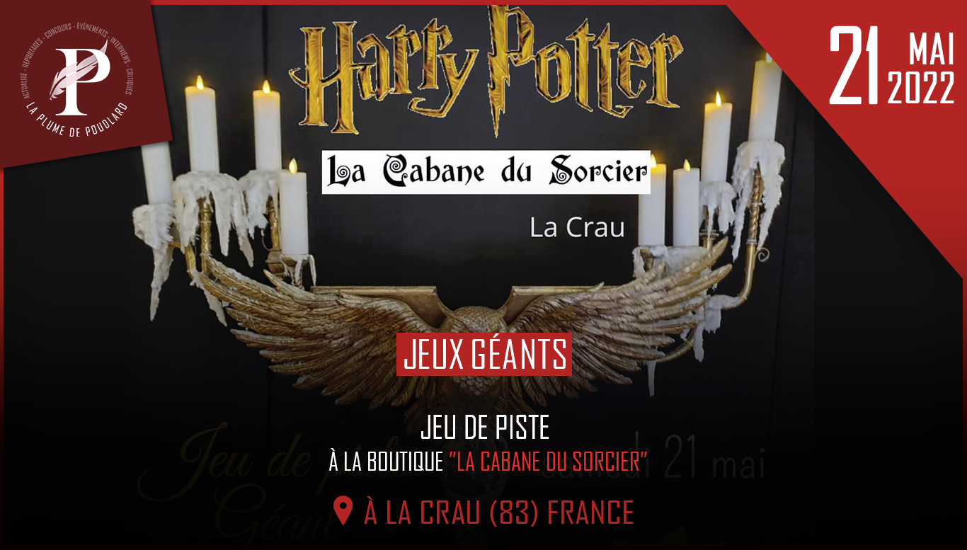 Les Objets de collection Harry Potter près de Toulon - La Cabane