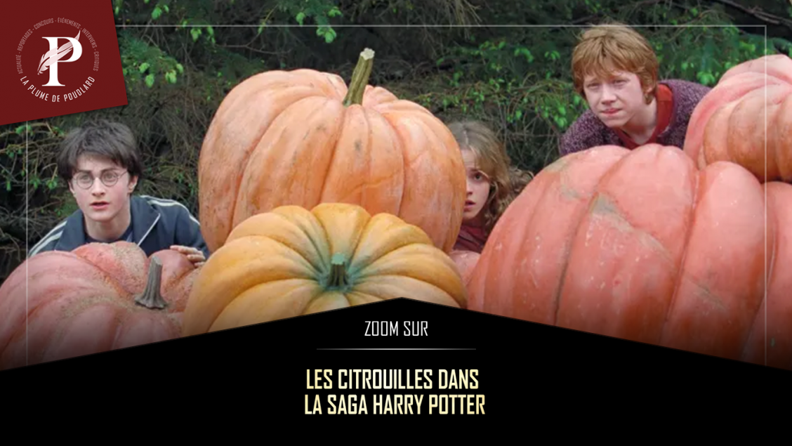 Calendrier d' Halloween Les forces du mal Harry Potter - Jus de citrouille  - Boutique pour sorciers