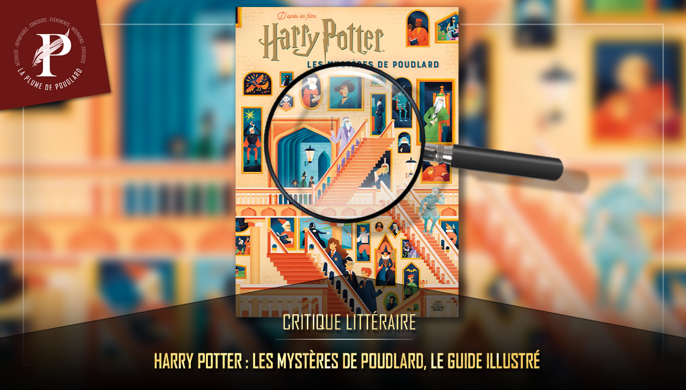 Critique - Harry Potter et la chambre des secrets, illustré par